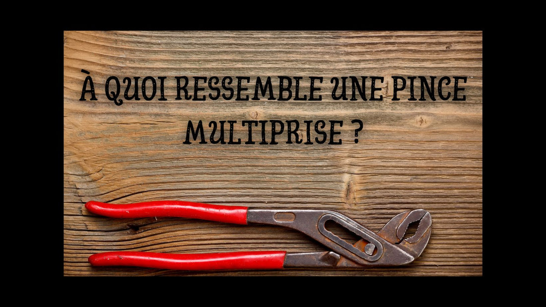 À quoi ressemble une pince multiprise blog