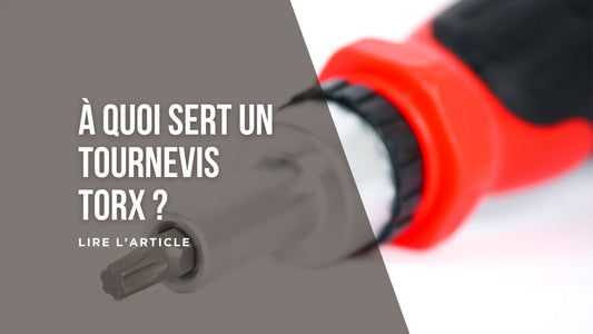 À quoi sert un tournevis Torx ?