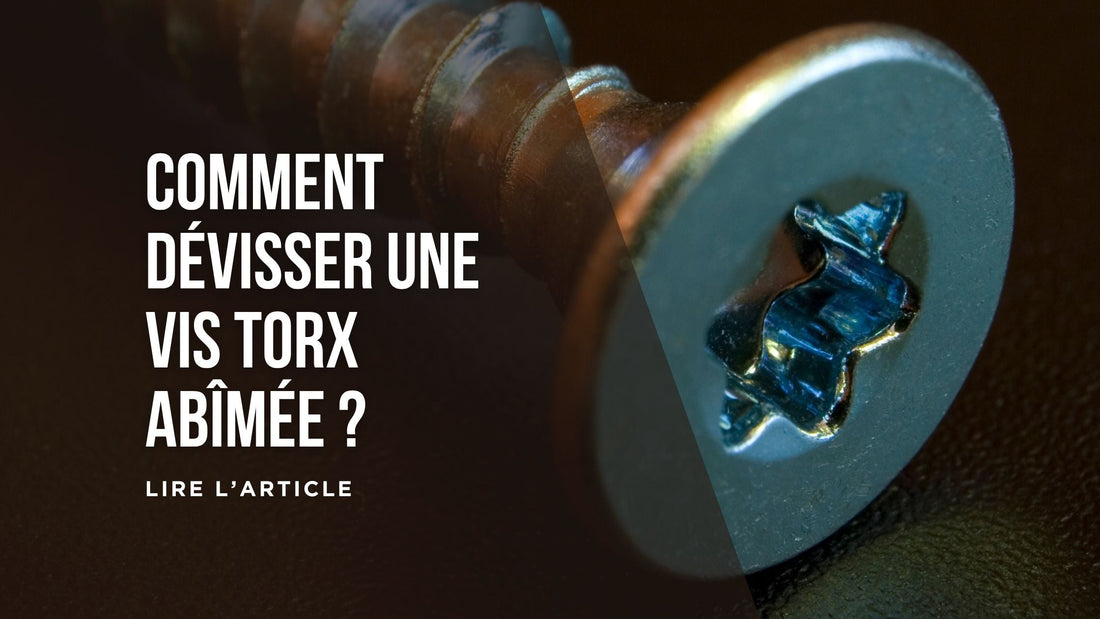 Comment dévisser une vis Torx abîmée blog