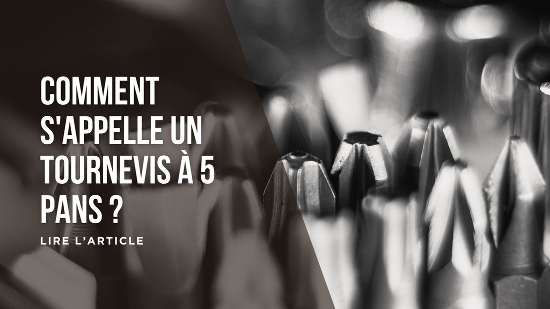 Comment s'appelle un tournevis à 5 pans blog
