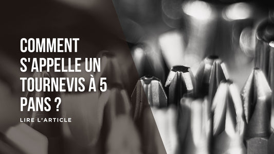 Comment s'appelle un tournevis à 5 pans blog