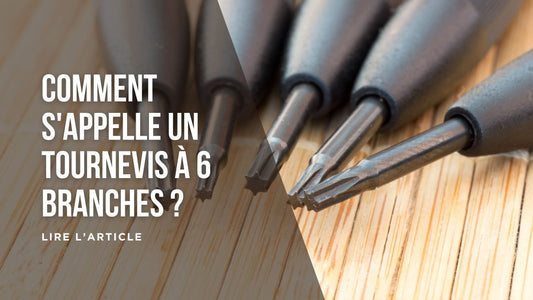 Comment s'appelle un tournevis à 6 branches blog