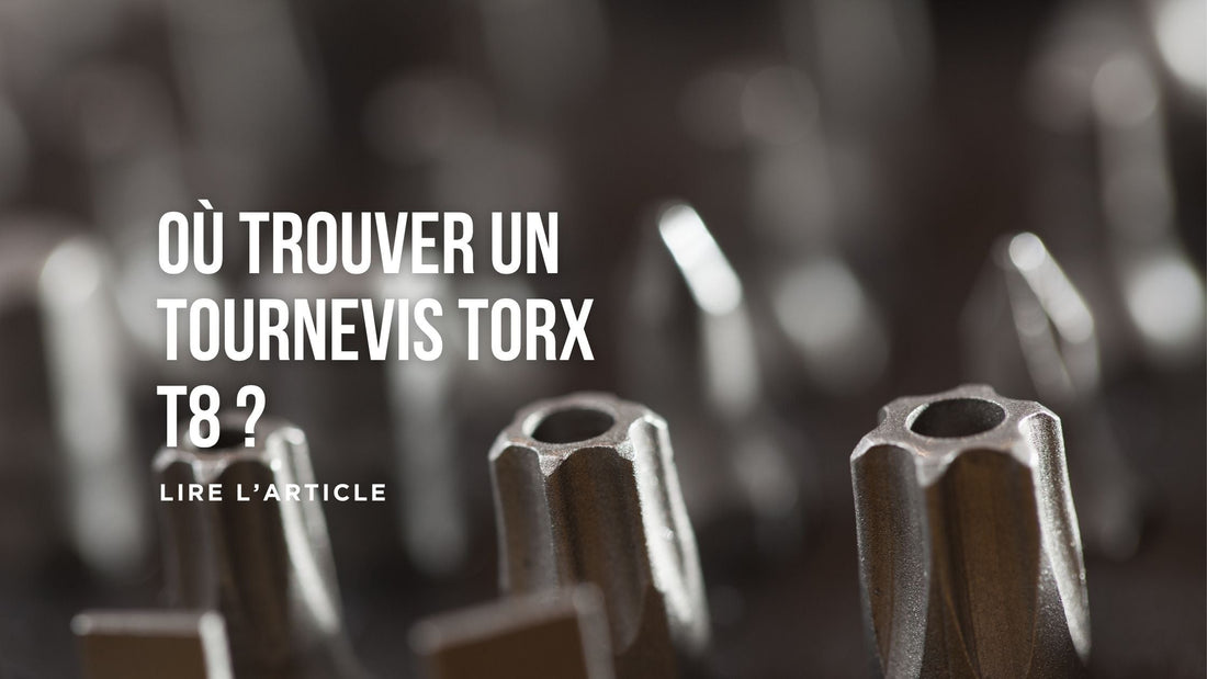 Où trouver un tournevis Torx T8 blog