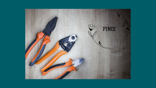 Pince-blog