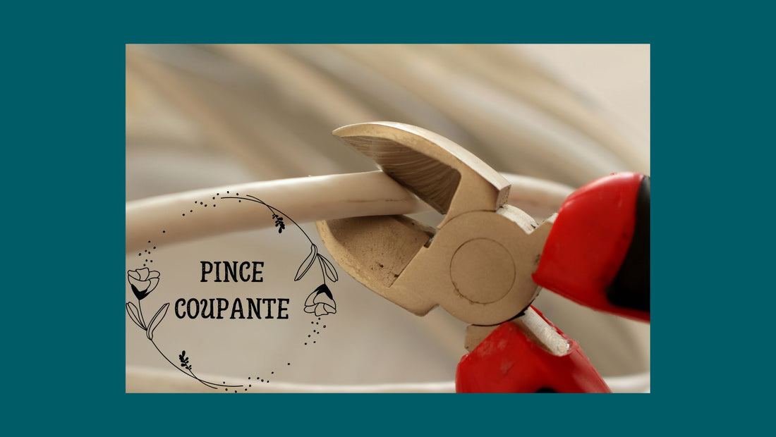 Pince coupante blog