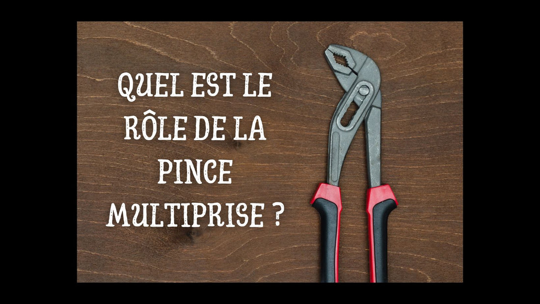 Quel est le rôle de la pince multiprise blog