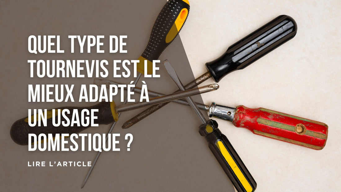 Quel type de tournevis est le mieux adapté à un usage domestique blog