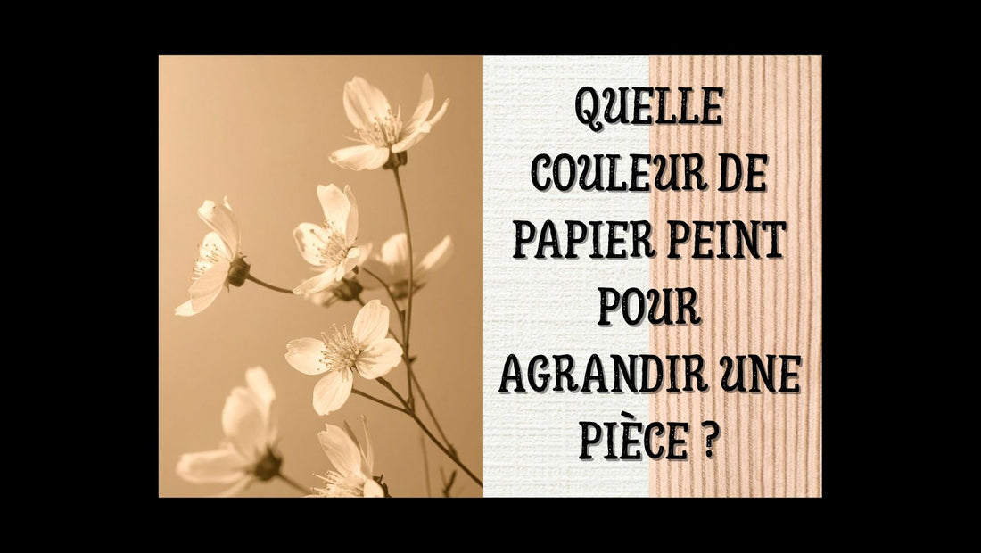 Quelle couleur de papier peint pour agrandir une pièce blog