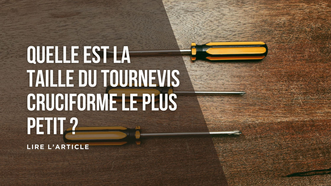 Quelle est la taille du tournevis cruciforme le plus petit blog