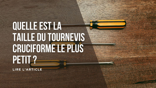 Quelle est la taille du tournevis cruciforme le plus petit blog