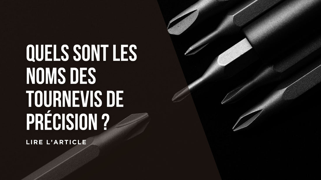 Quels sont les noms des tournevis de précision blog