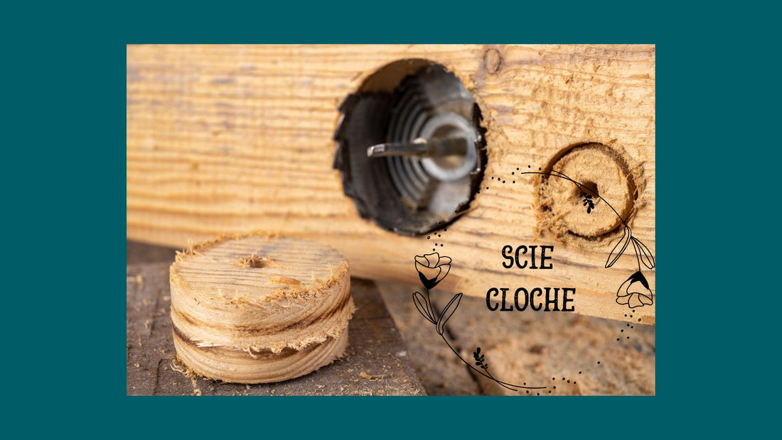 Scie cloche pour bricoleurs : Outil indispensable et adaptés à différents usages