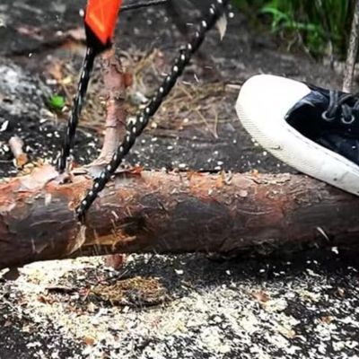 Une scie à chaîne de poche dans les mains d'un homme qui scie un arbre comme une  tronçonneuse