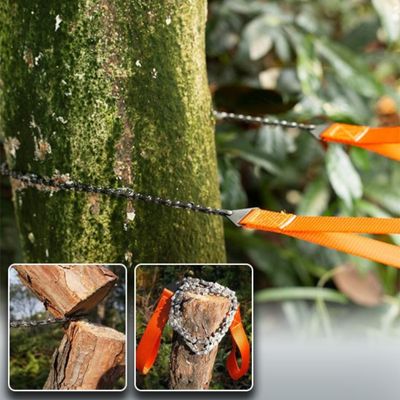 Scie-a-corde-arbre
