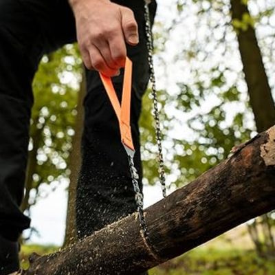 Scie à corde forêt
