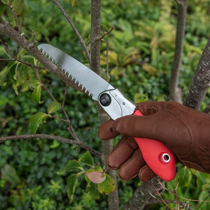 Scie D'élagage pliante poignée