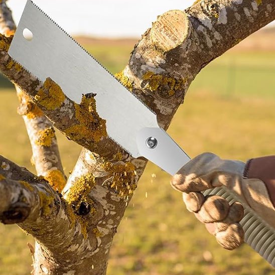 Scie japonaise Ryoba arbre